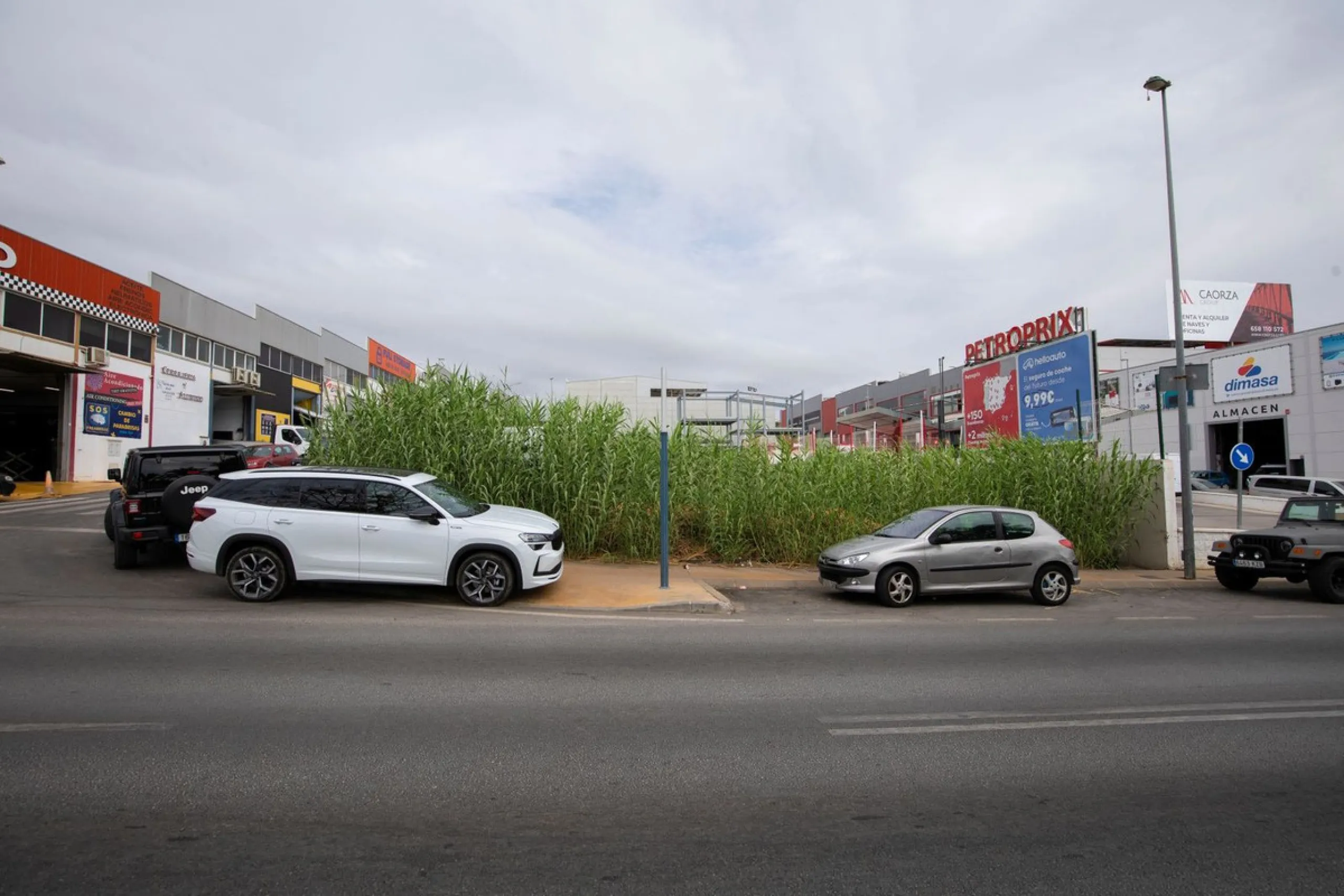 Investment opportunity in the San Pedro de Alcántara Polygon