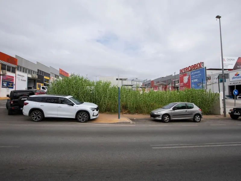 Investment opportunity in the San Pedro de Alcántara Polygon