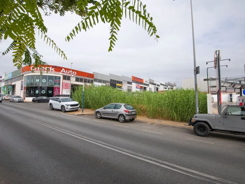 Investment opportunity in the San Pedro de Alcántara Polygon