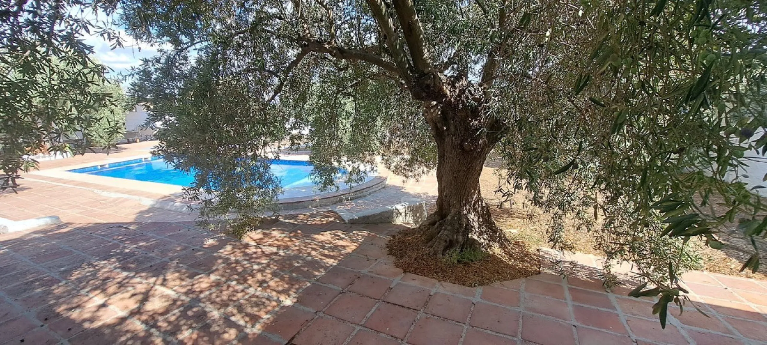 Classic Hacienda in Alora: