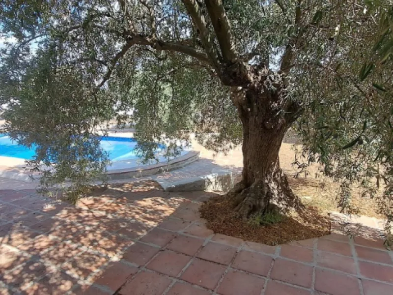 Classic Hacienda in Alora: