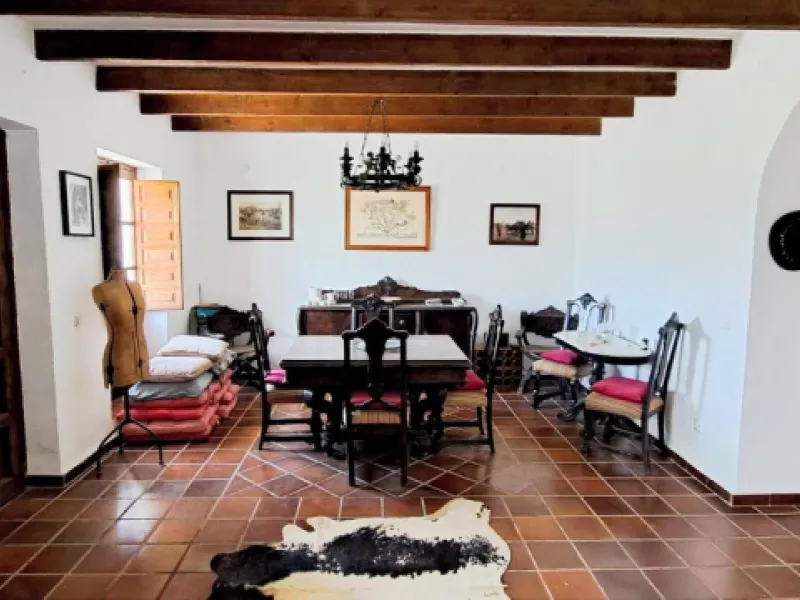 Classic Hacienda in Alora: