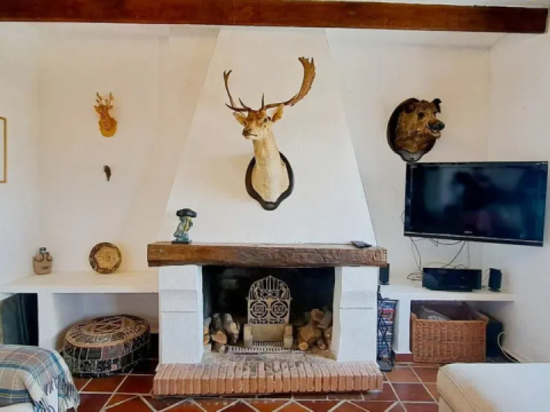 Classic Hacienda in Alora:
