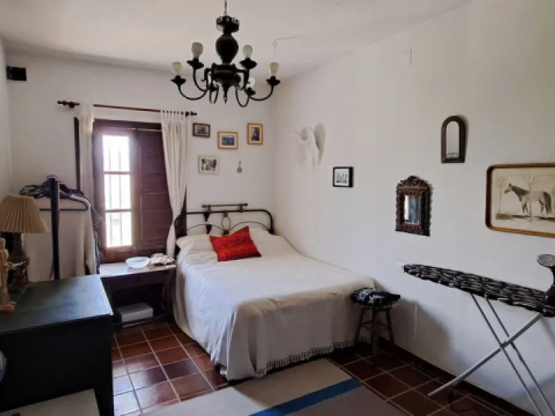 Classic Hacienda in Alora: