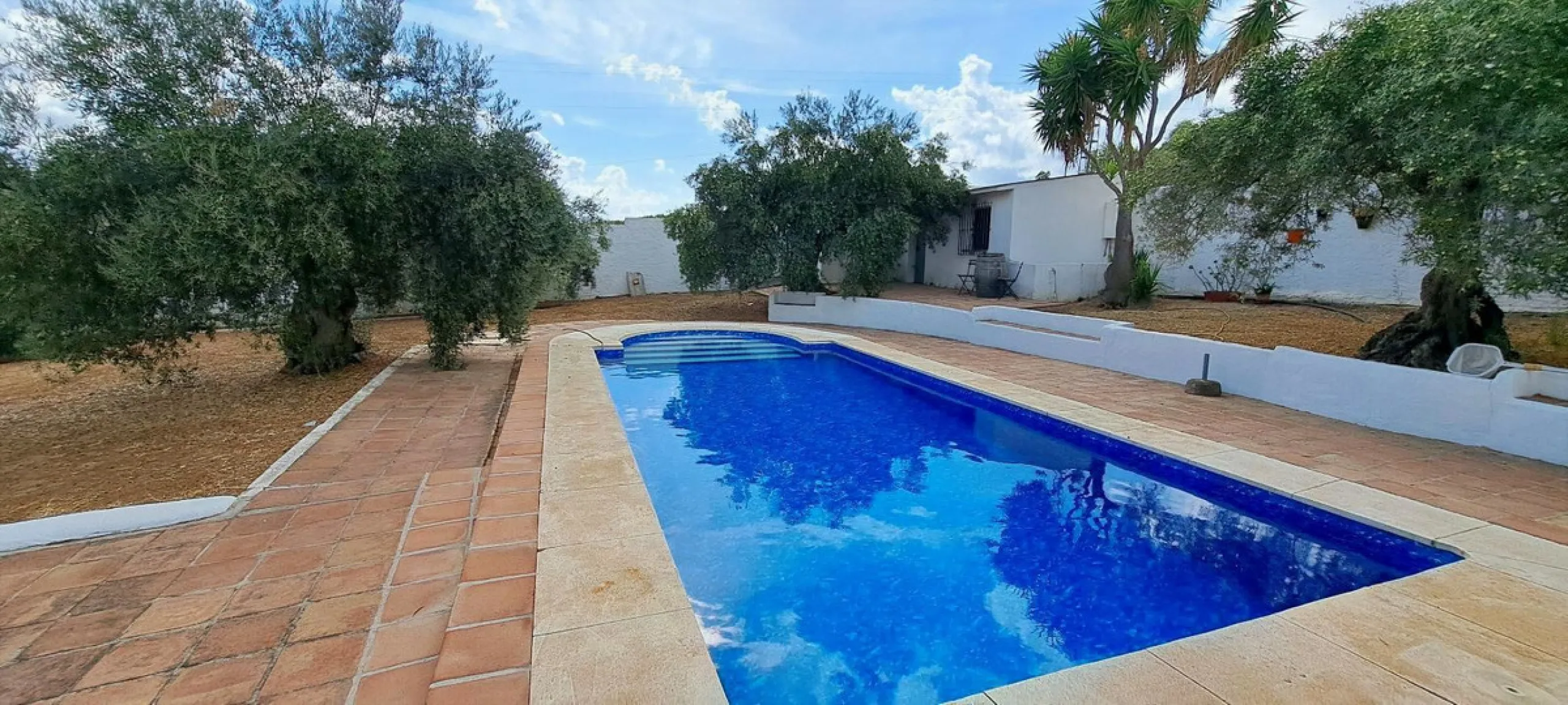 Classic Hacienda in Alora: