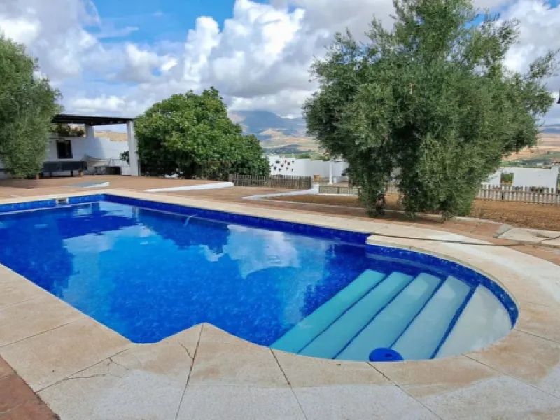 Classic Hacienda in Alora: