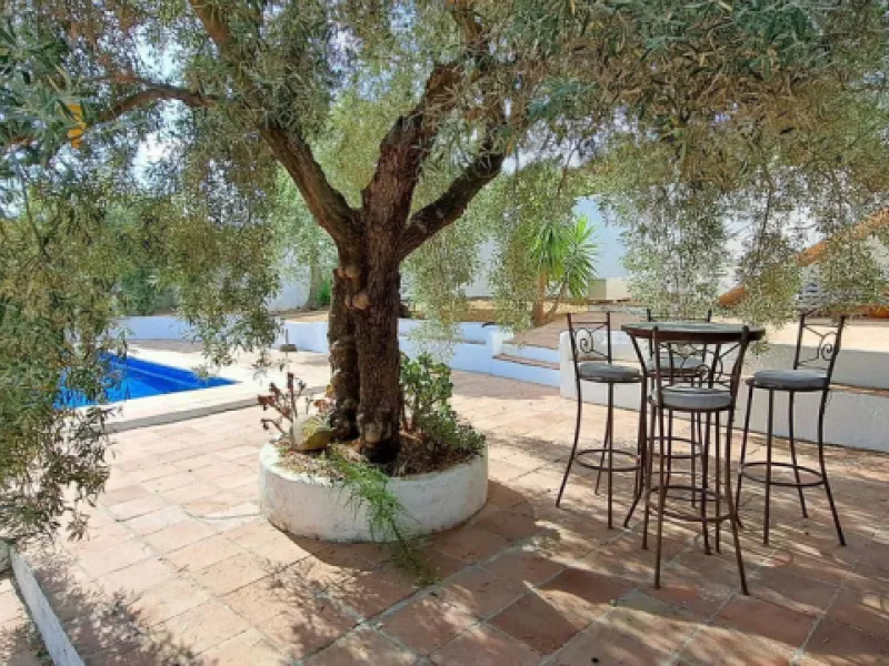 Classic Hacienda in Alora: