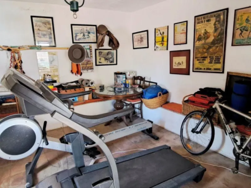 Classic Hacienda in Alora:
