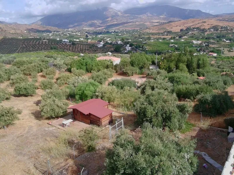 Classic Hacienda in Alora: