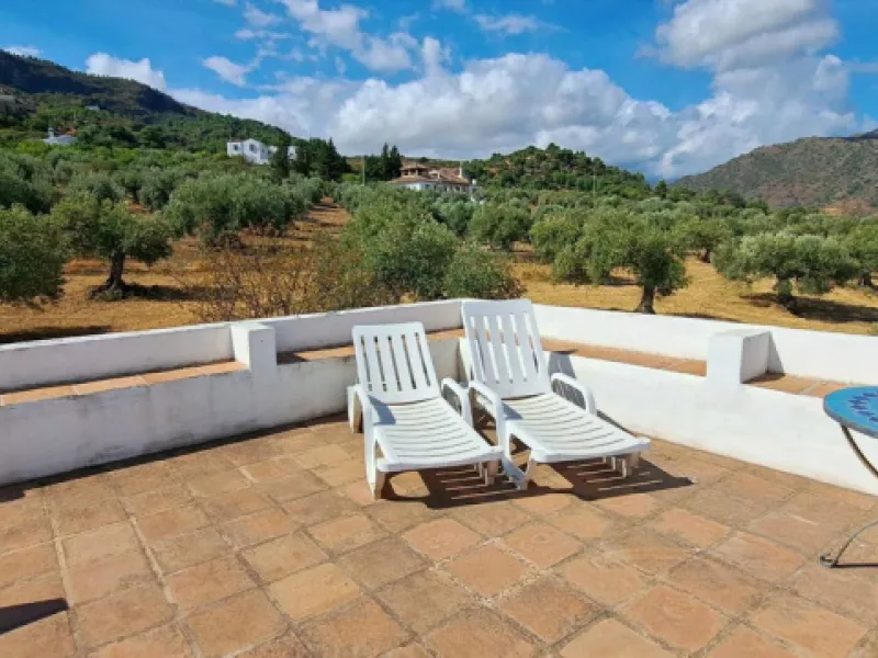 Classic Hacienda in Alora: