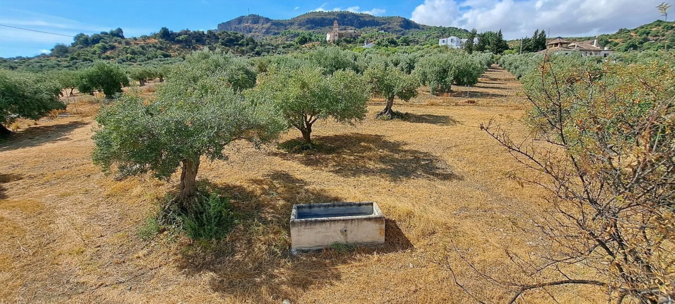 Classic Hacienda in Alora: