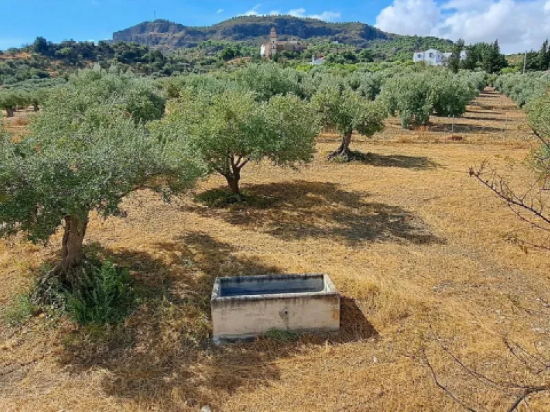 Classic Hacienda in Alora: