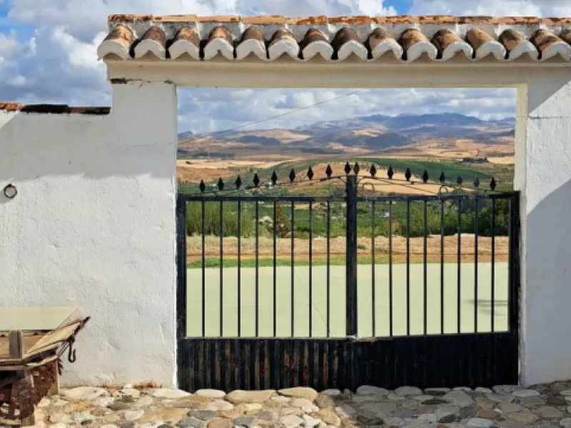 Classic Hacienda in Alora: