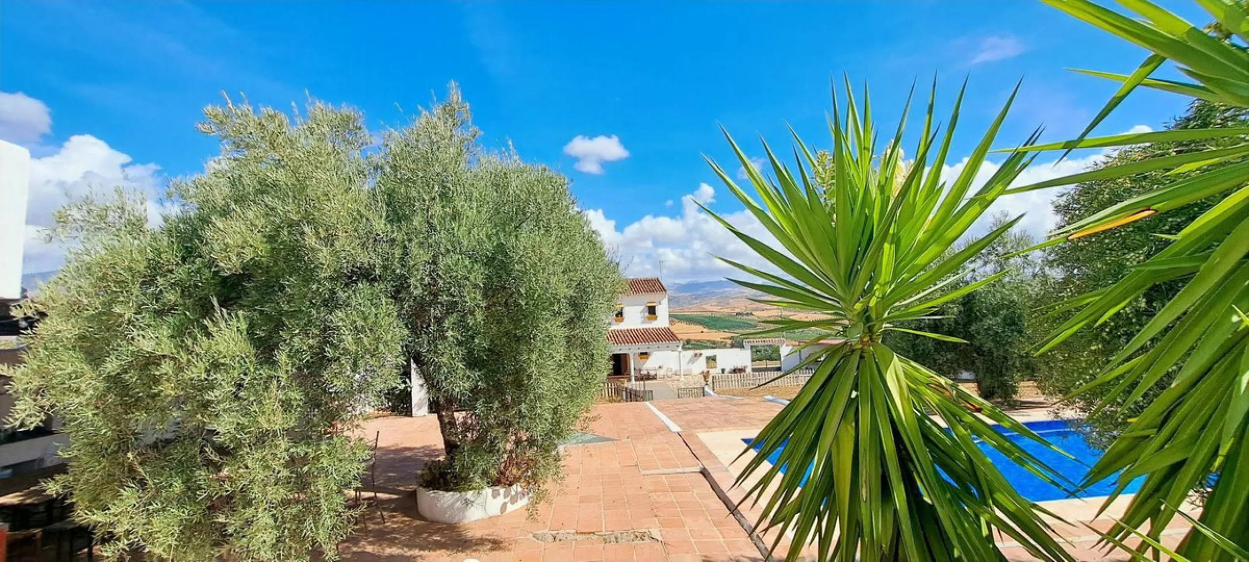 Classic Hacienda in Alora: