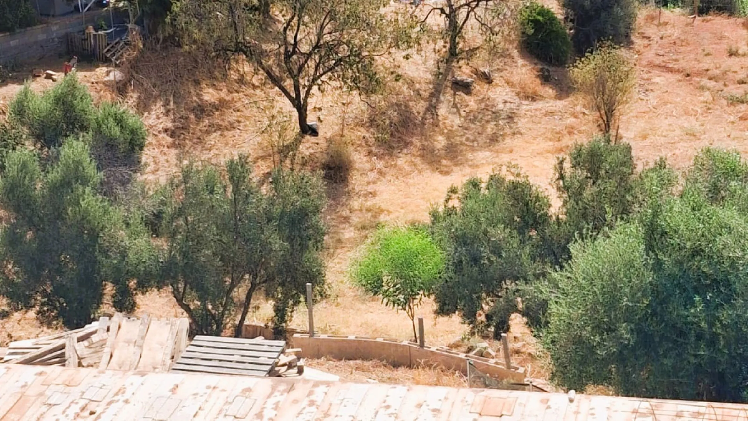 House with Great Potential in Marbella – Torrecillas / Lindavista Area