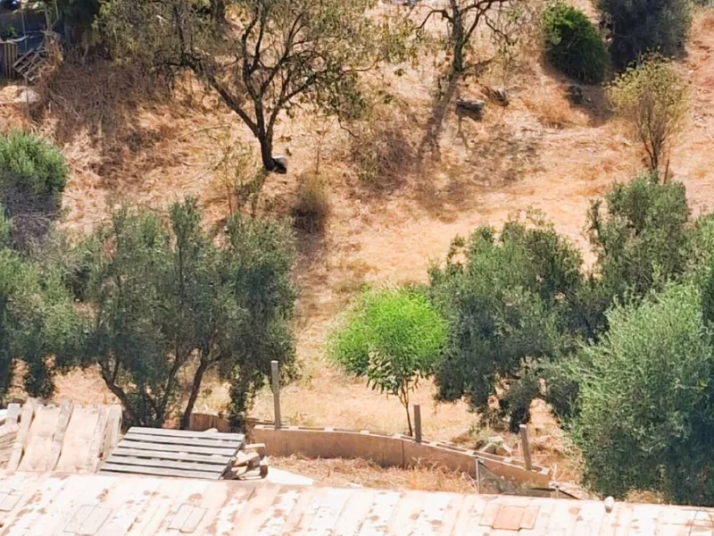 House with Great Potential in Marbella – Torrecillas / Lindavista Area