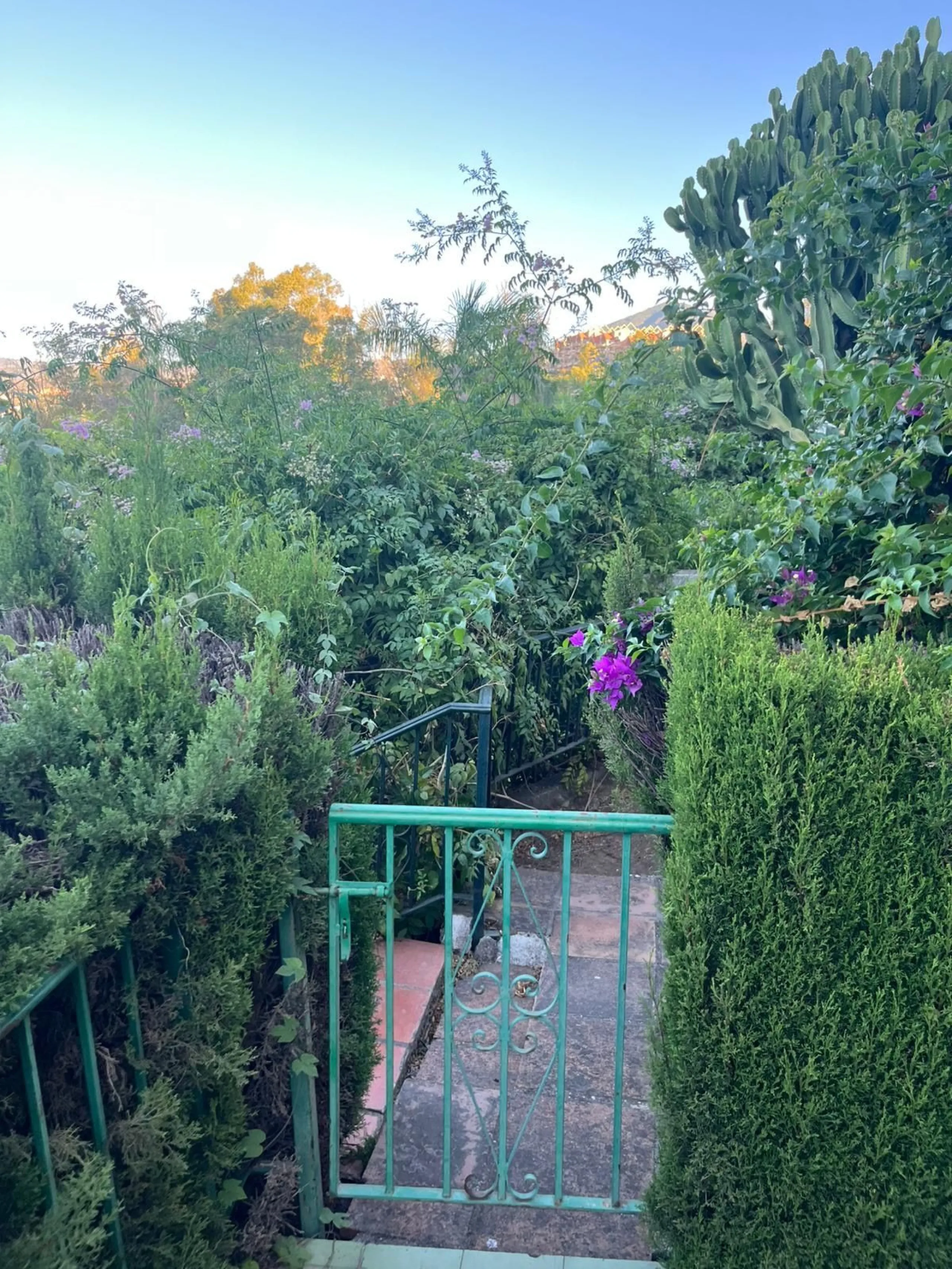 Unique property - and great opportunity to make a full reform.