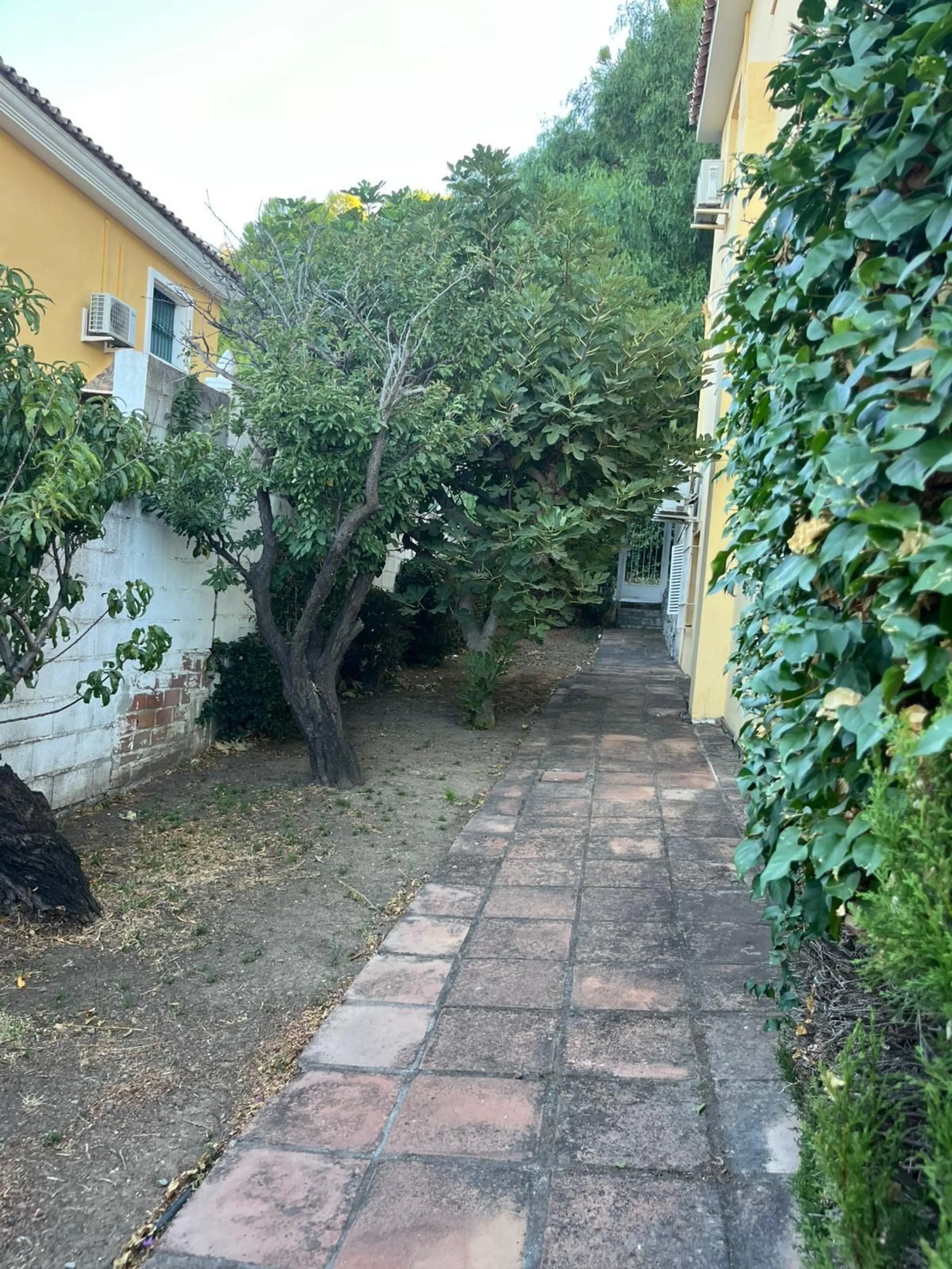 Unique property - and great opportunity to make a full reform.