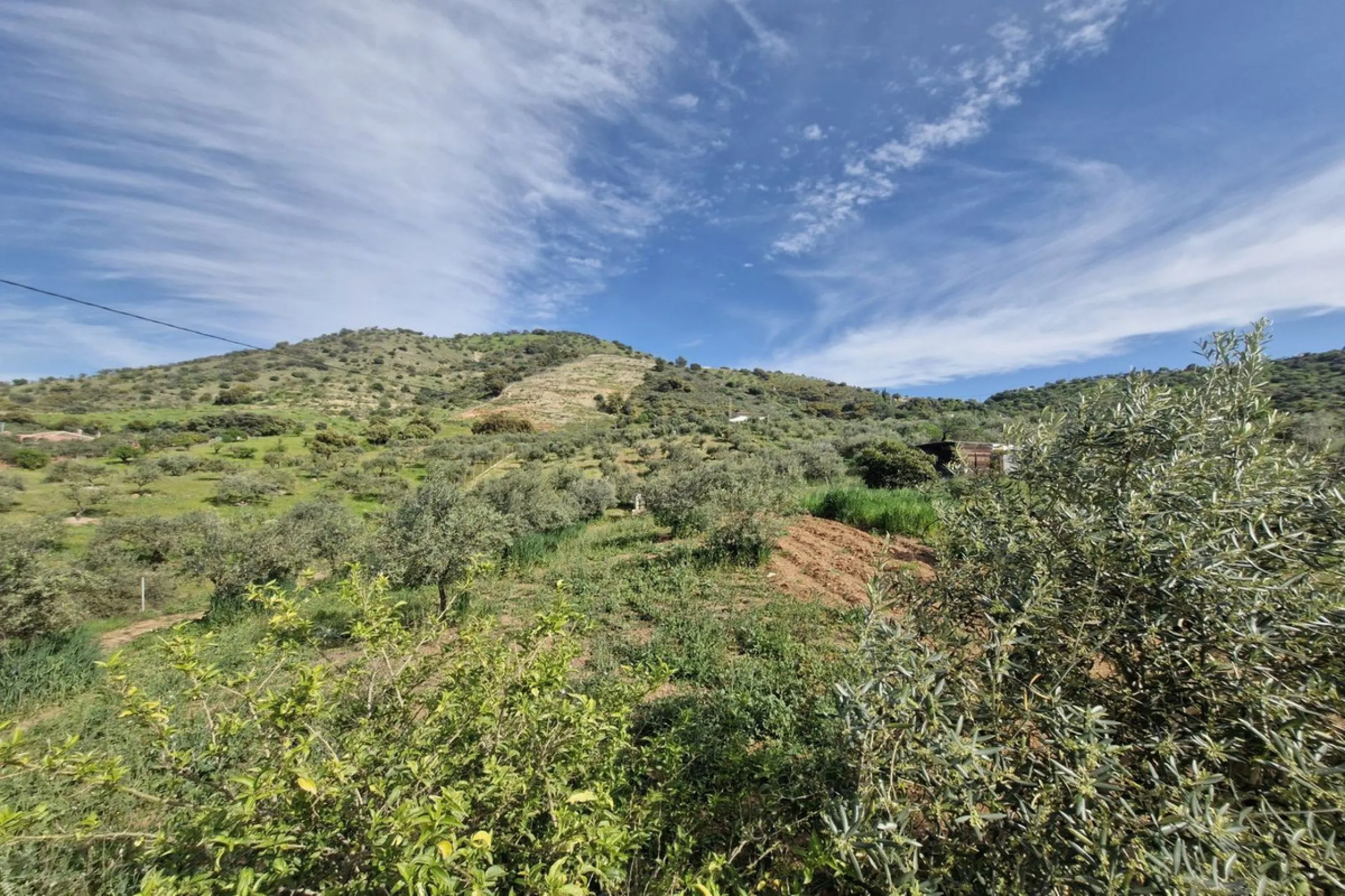 Set in the peaceful countryside on the outskirts of Coín, this charming 3-bedroom, 2-bathroom finca offers space, privacy, and beautiful open views across the surrounding mountains and cocuntryside.