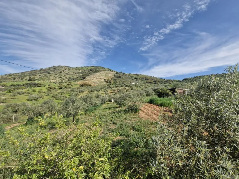 Set in the peaceful countryside on the outskirts of Coín, this charming 3-bedroom, 2-bathroom finca offers space, privacy, and beautiful open views across the surrounding mountains and cocuntryside.