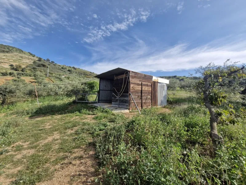 Set in the peaceful countryside on the outskirts of Coín, this charming 3-bedroom, 2-bathroom finca offers space, privacy, and beautiful open views across the surrounding mountains and cocuntryside.