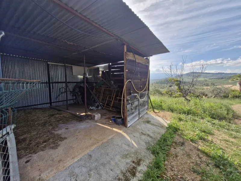 Set in the peaceful countryside on the outskirts of Coín, this charming 3-bedroom, 2-bathroom finca offers space, privacy, and beautiful open views across the surrounding mountains and cocuntryside.