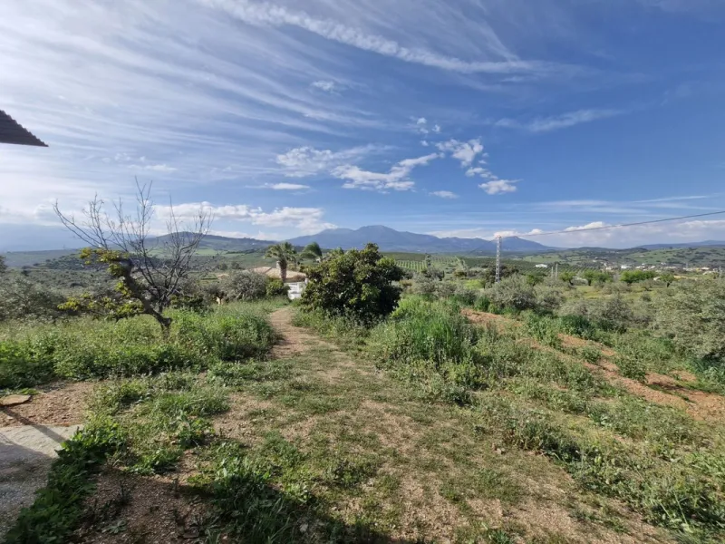 Set in the peaceful countryside on the outskirts of Coín, this charming 3-bedroom, 2-bathroom finca offers space, privacy, and beautiful open views across the surrounding mountains and cocuntryside.