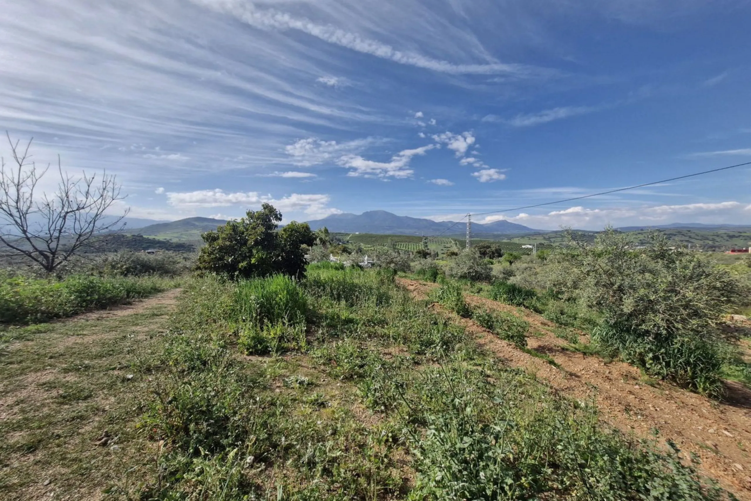 Set in the peaceful countryside on the outskirts of Coín, this charming 3-bedroom, 2-bathroom finca offers space, privacy, and beautiful open views across the surrounding mountains and cocuntryside.