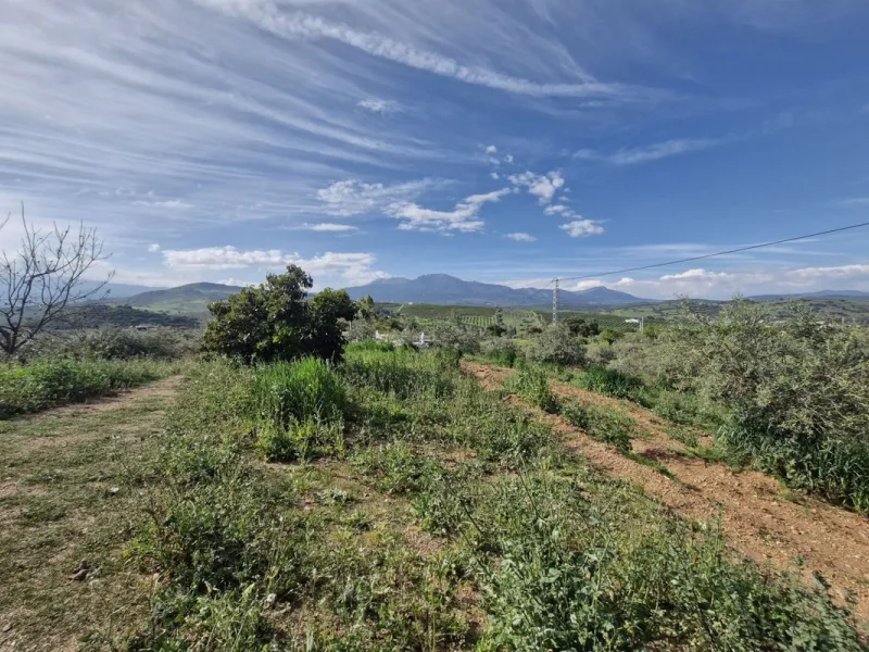 Set in the peaceful countryside on the outskirts of Coín, this charming 3-bedroom, 2-bathroom finca offers space, privacy, and beautiful open views across the surrounding mountains and cocuntryside.