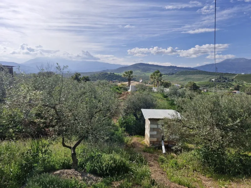 Set in the peaceful countryside on the outskirts of Coín, this charming 3-bedroom, 2-bathroom finca offers space, privacy, and beautiful open views across the surrounding mountains and cocuntryside.