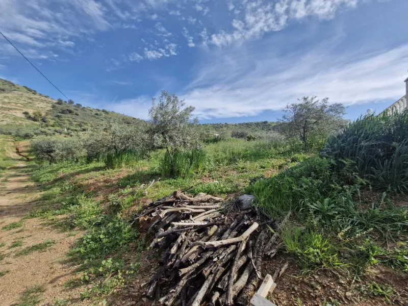Set in the peaceful countryside on the outskirts of Coín, this charming 3-bedroom, 2-bathroom finca offers space, privacy, and beautiful open views across the surrounding mountains and cocuntryside.