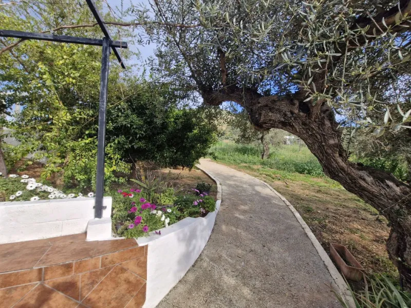 Set in the peaceful countryside on the outskirts of Coín, this charming 3-bedroom, 2-bathroom finca offers space, privacy, and beautiful open views across the surrounding mountains and cocuntryside.