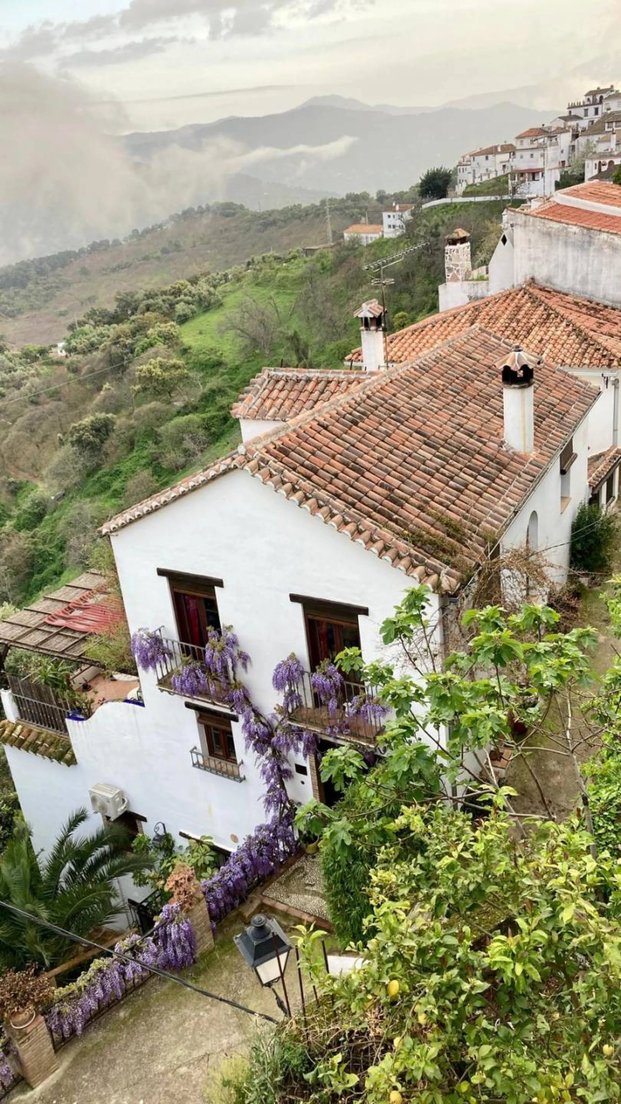 SUPERB RURAL HOME AND LIFESTYLE BUSINESS FOR SALE NEAR RONDA