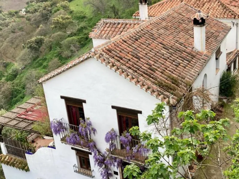 SUPERB RURAL HOME AND LIFESTYLE BUSINESS FOR SALE NEAR RONDA