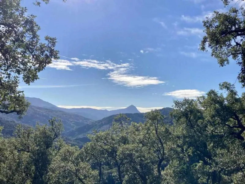 SUPERB RURAL HOME AND LIFESTYLE BUSINESS FOR SALE NEAR RONDA