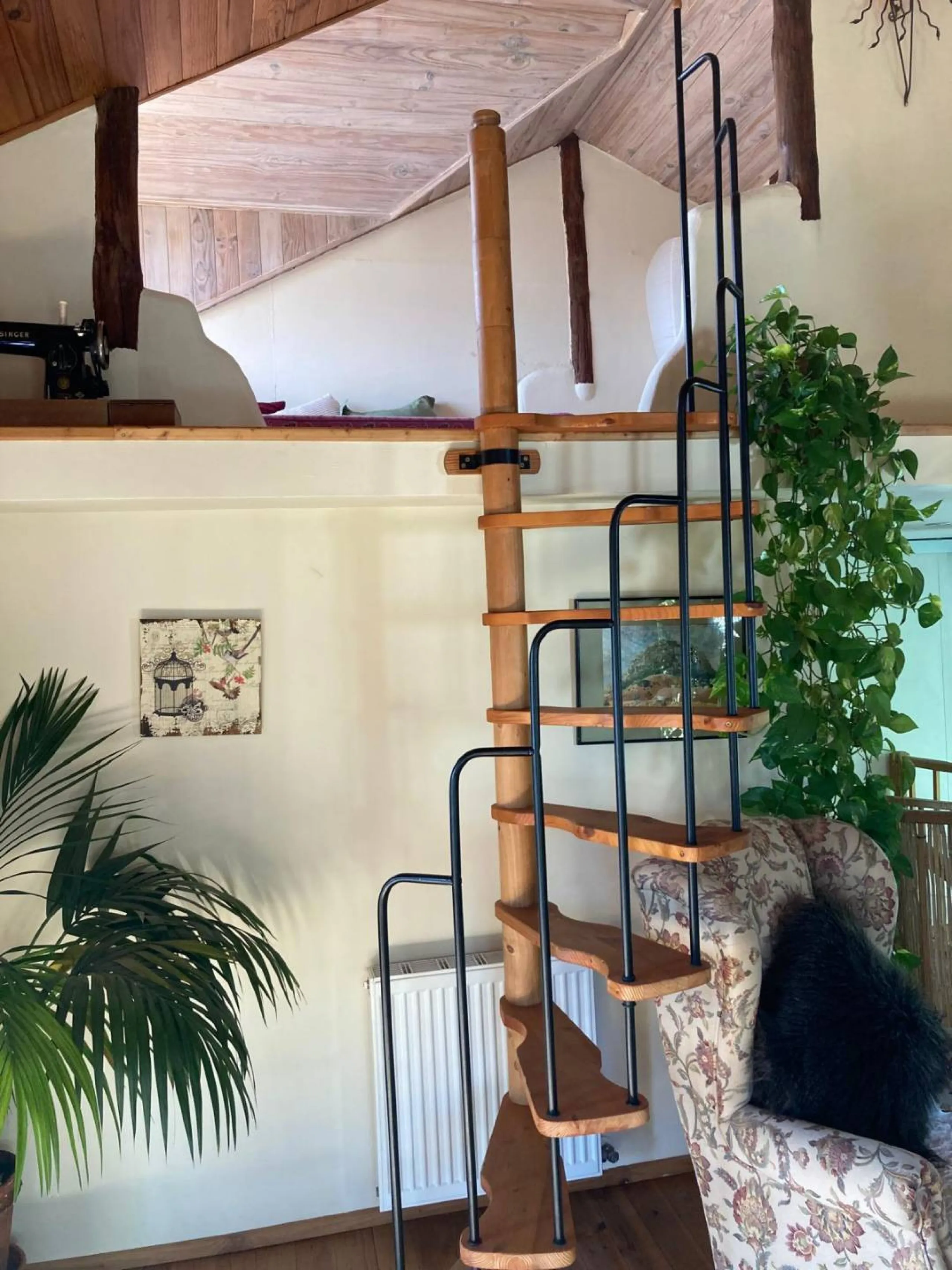 SUPERB RURAL HOME AND LIFESTYLE BUSINESS FOR SALE NEAR RONDA