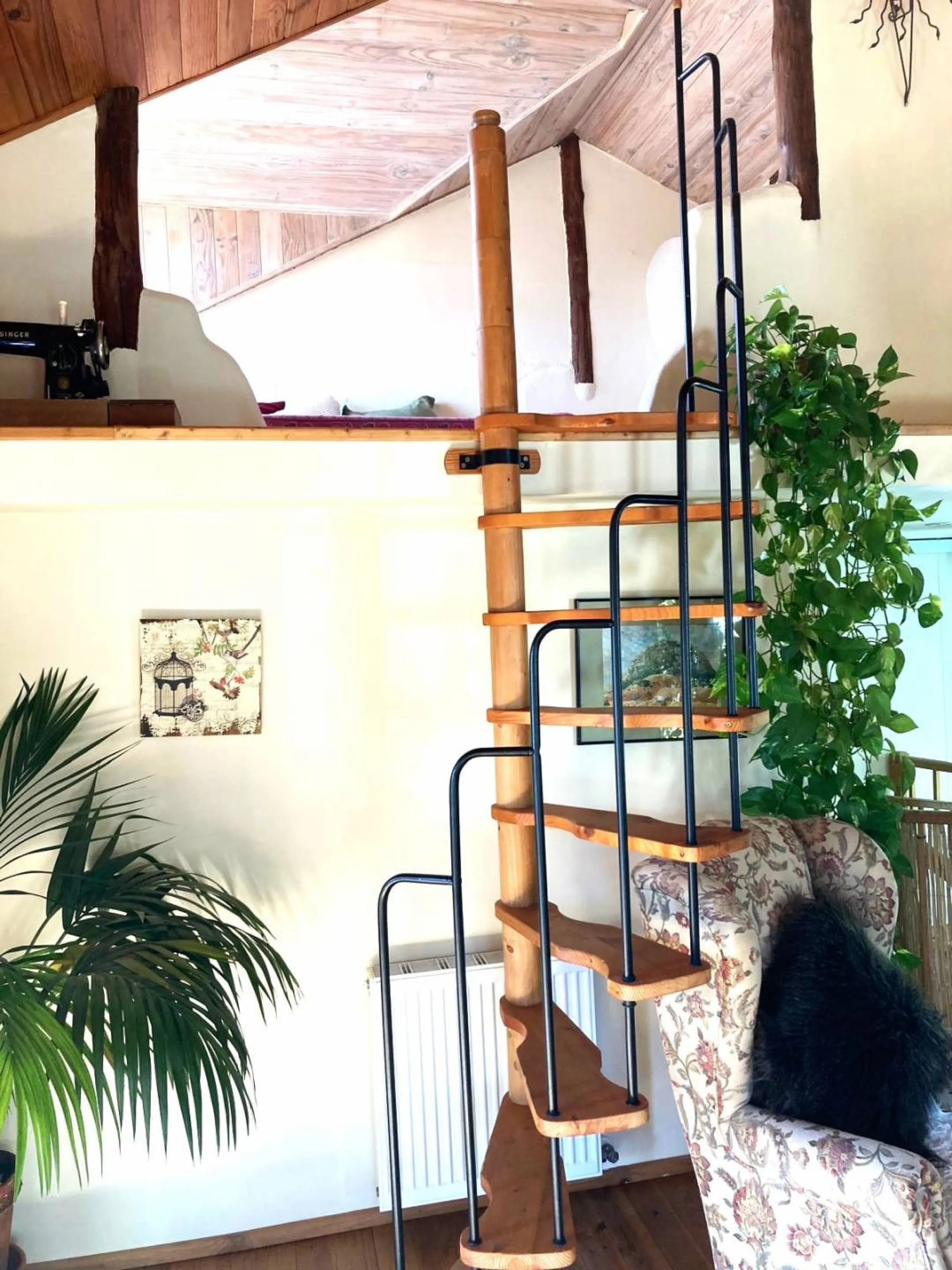 SUPERB RURAL HOME AND LIFESTYLE BUSINESS FOR SALE NEAR RONDA