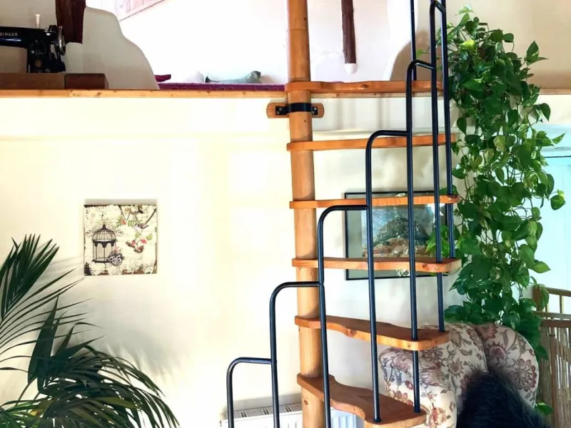 SUPERB RURAL HOME AND LIFESTYLE BUSINESS FOR SALE NEAR RONDA