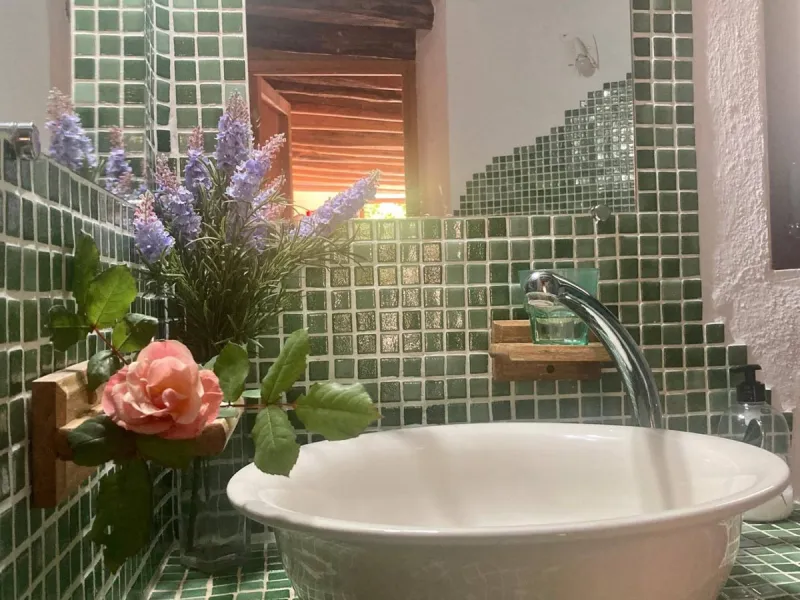 SUPERB RURAL HOME AND LIFESTYLE BUSINESS FOR SALE NEAR RONDA