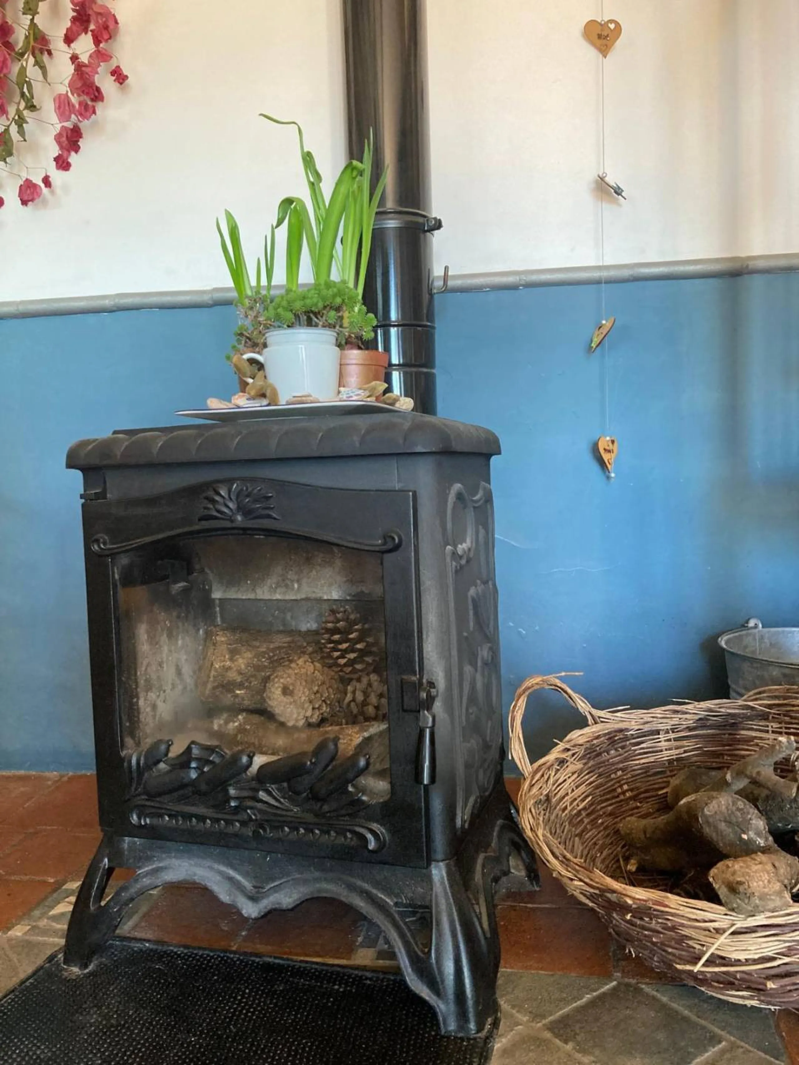 SUPERB RURAL HOME AND LIFESTYLE BUSINESS FOR SALE NEAR RONDA