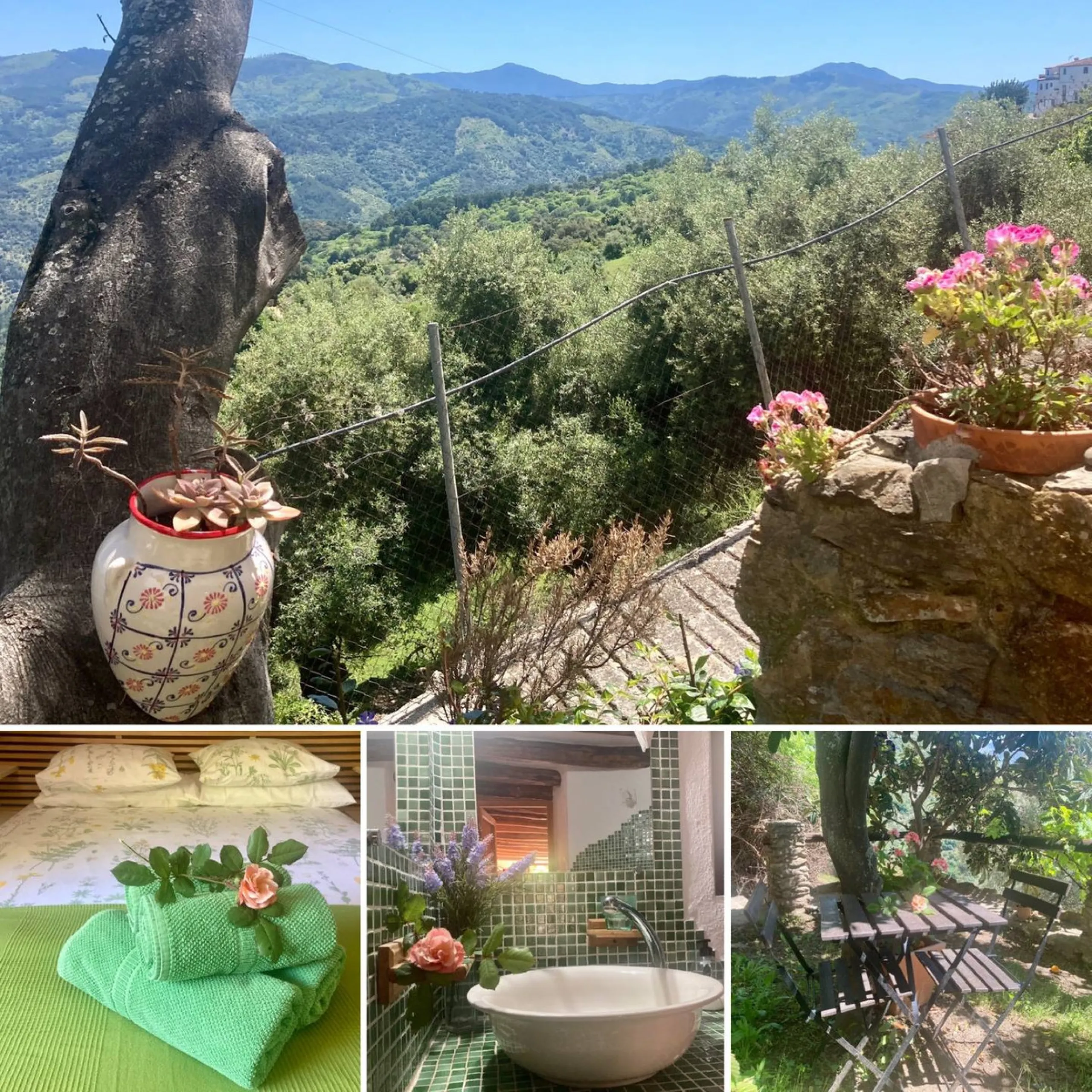 SUPERB RURAL HOME AND LIFESTYLE BUSINESS FOR SALE NEAR RONDA