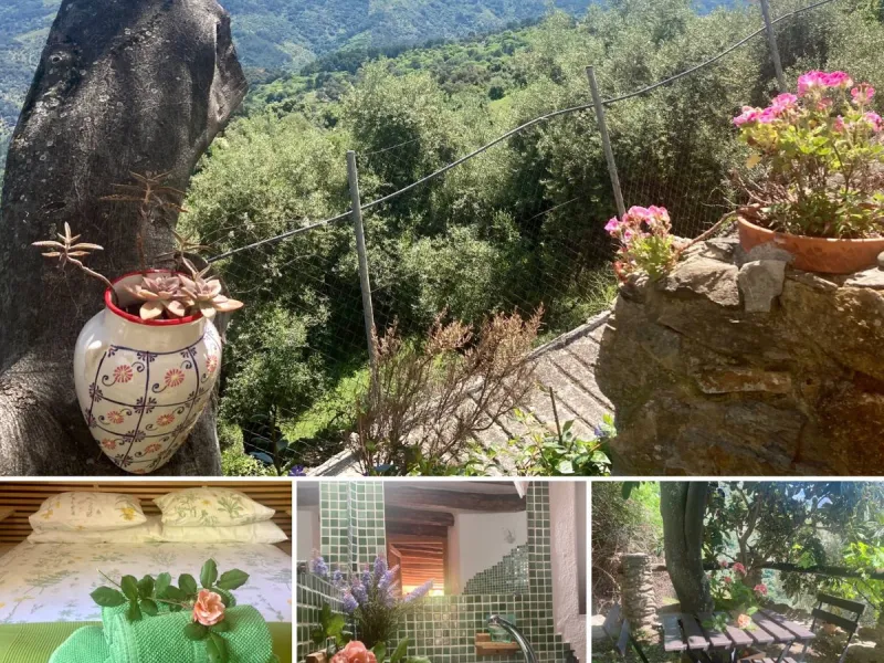 SUPERB RURAL HOME AND LIFESTYLE BUSINESS FOR SALE NEAR RONDA