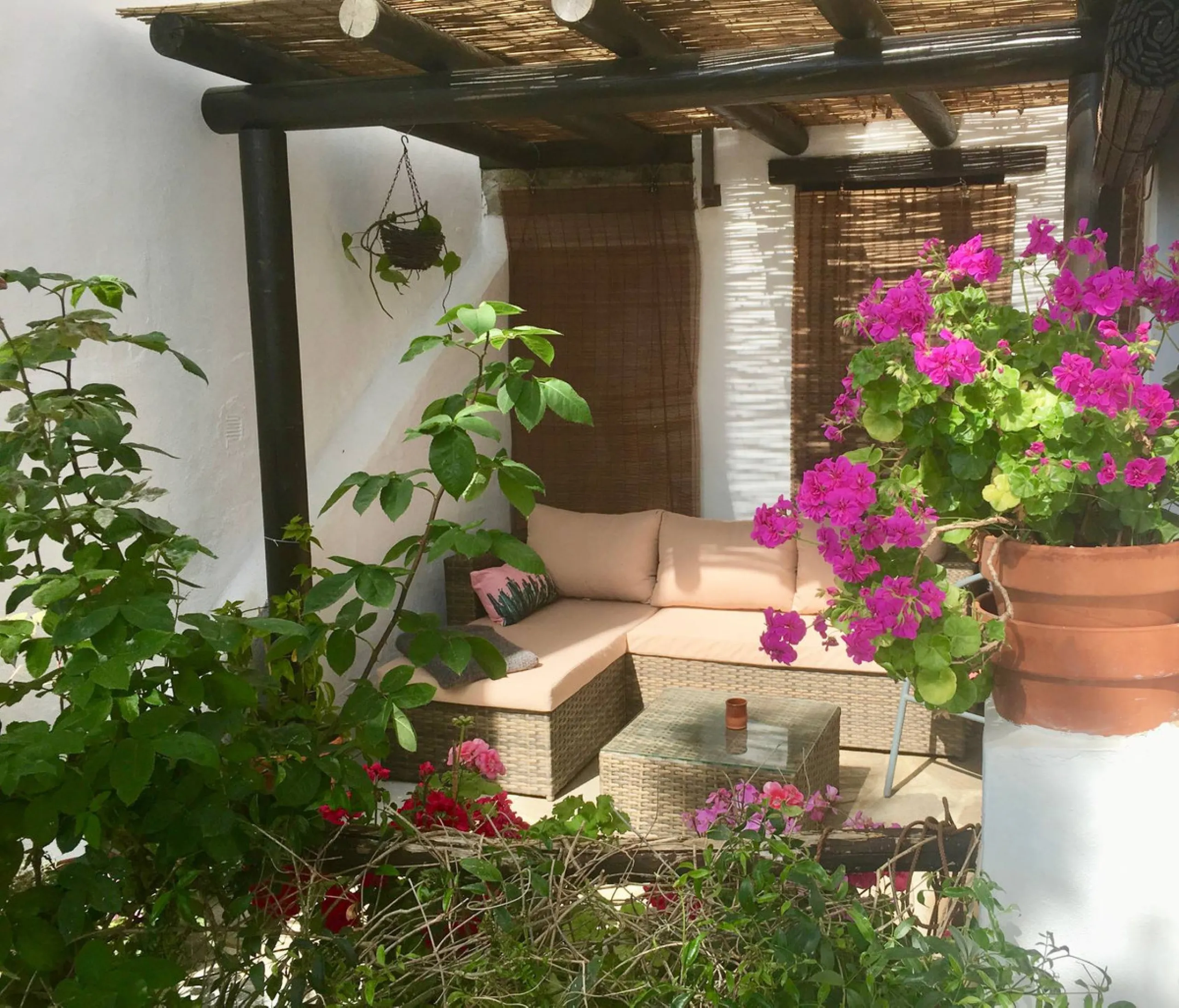 SUPERB RURAL HOME AND LIFESTYLE BUSINESS FOR SALE NEAR RONDA