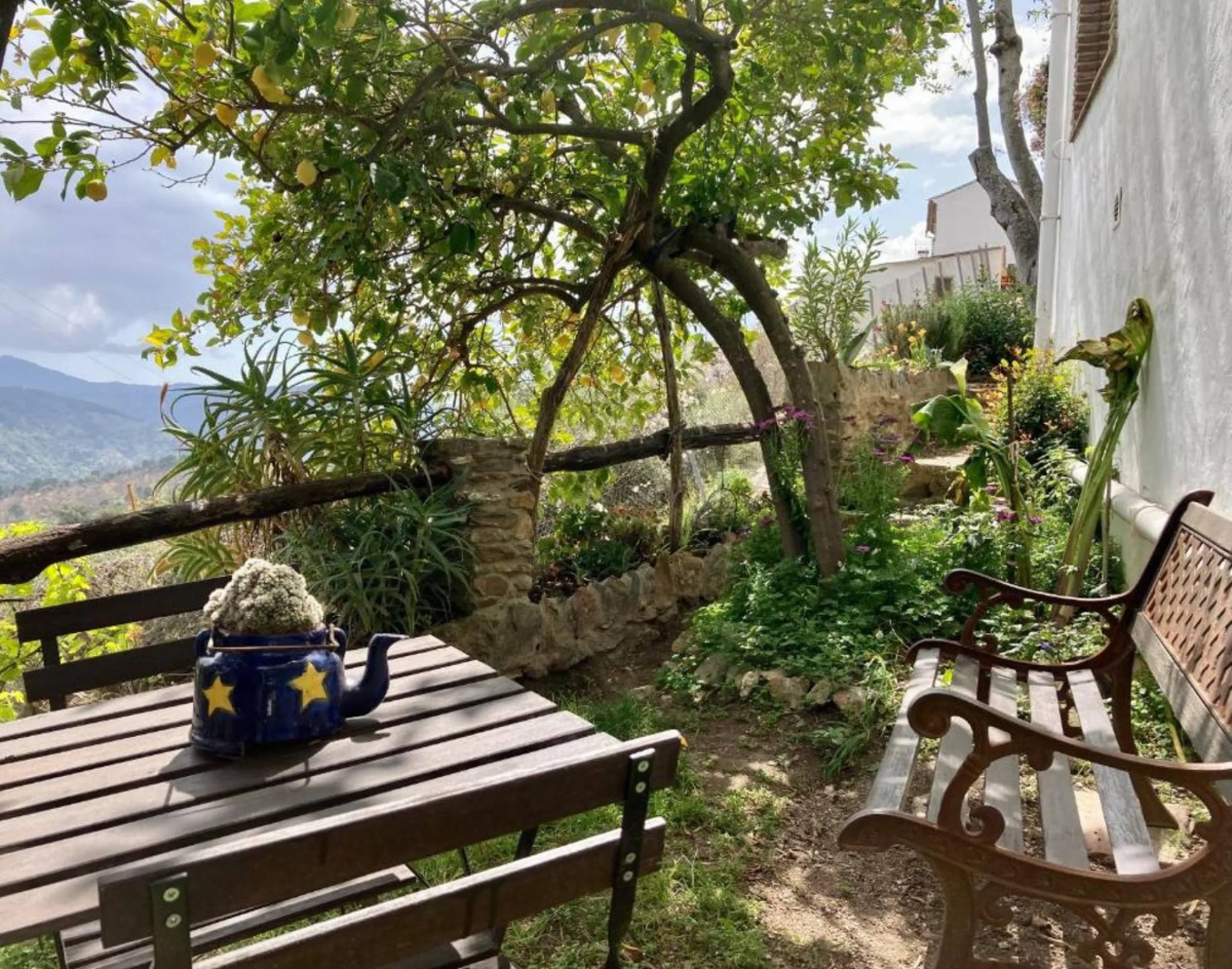 SUPERB RURAL HOME AND LIFESTYLE BUSINESS FOR SALE NEAR RONDA