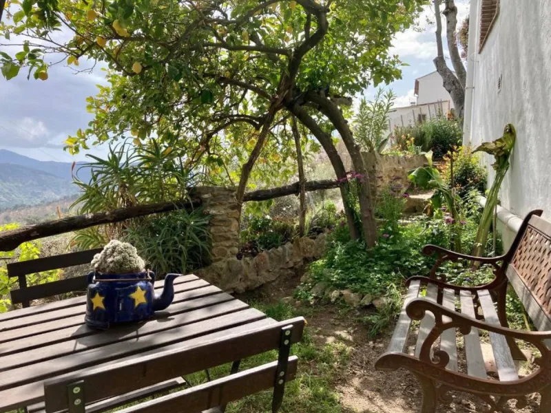 SUPERB RURAL HOME AND LIFESTYLE BUSINESS FOR SALE NEAR RONDA