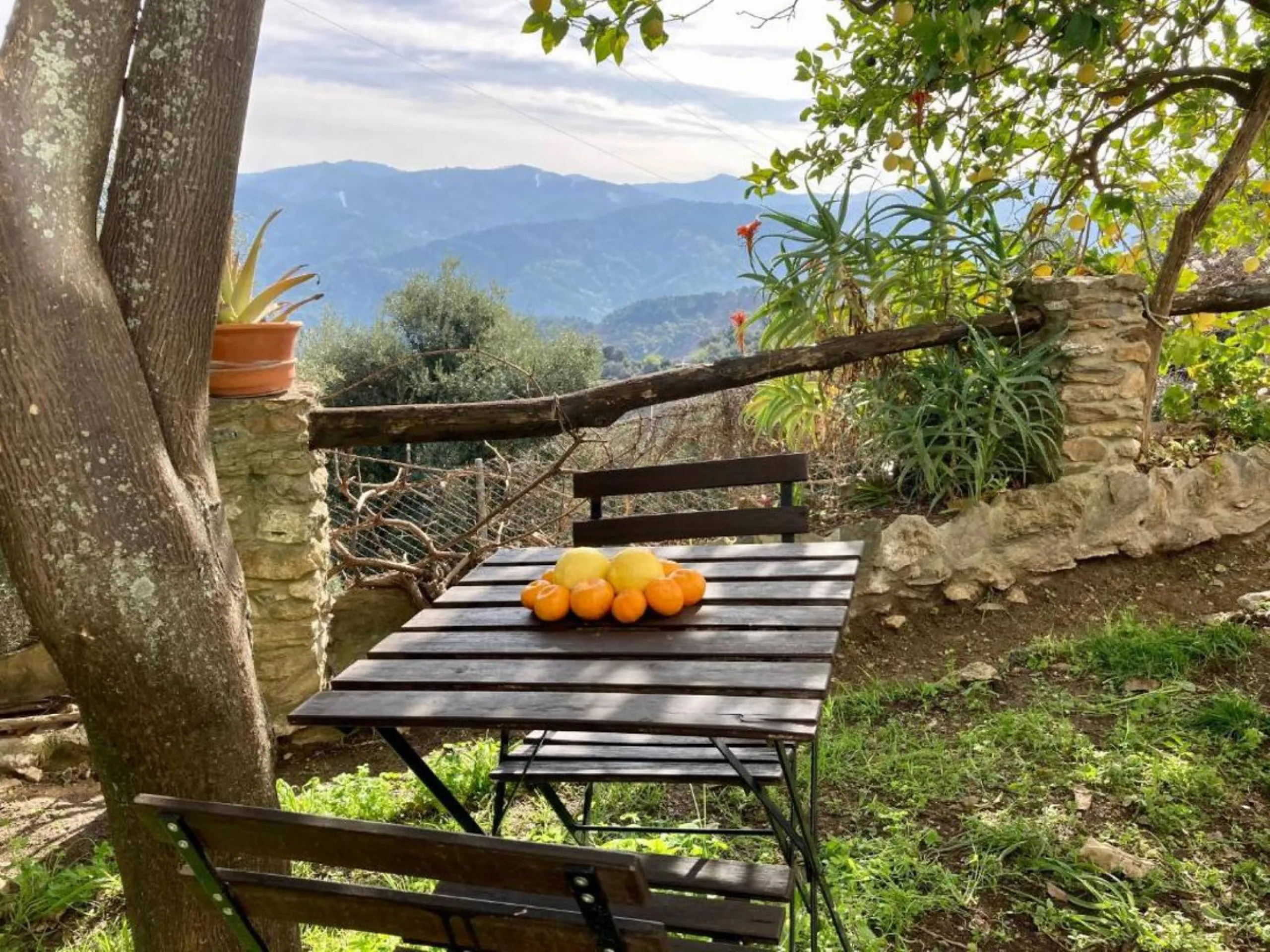 SUPERB RURAL HOME AND LIFESTYLE BUSINESS FOR SALE NEAR RONDA