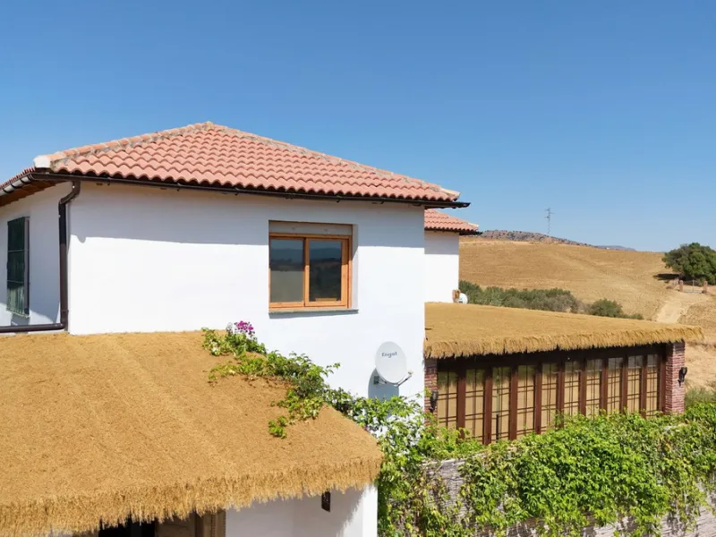 Charming Finca with AFO, salt water Pool & Prime Location in Coín