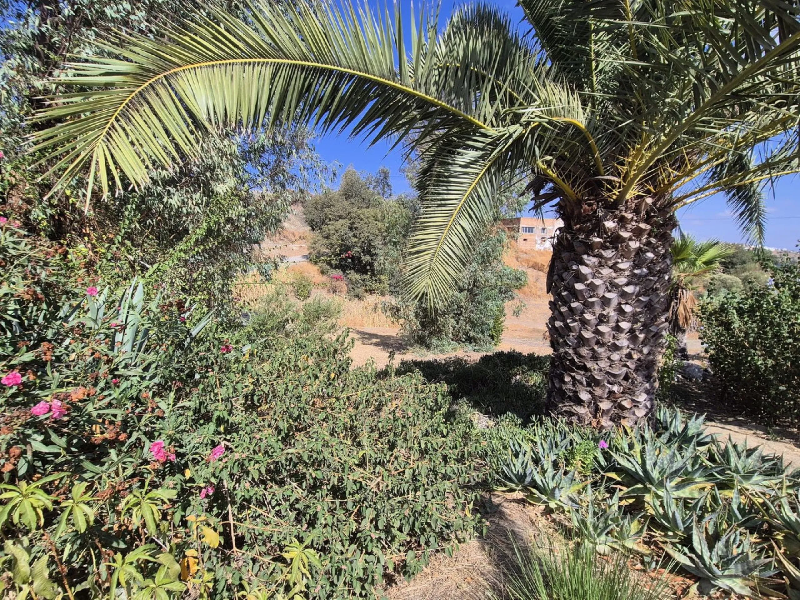 Fantastic opportunity to purchase this well kept, bright and spacious finca in between Alhaurín el Grande and Coin. The whole property, the pool, the outside kitchen etc, everything is legal and registered. Only asking price will be accepted.