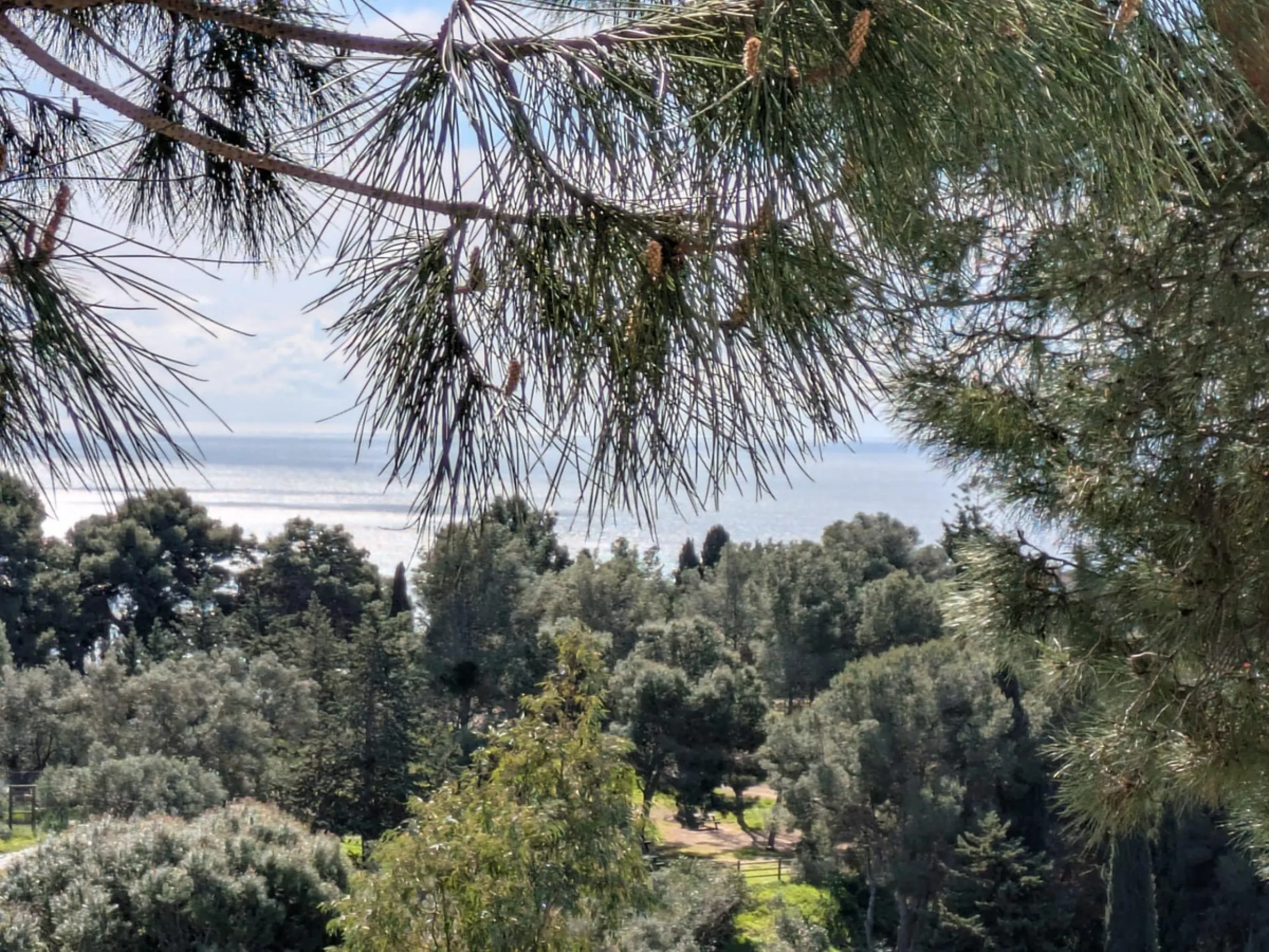 Discover this spectacular minimalist-style villa (built in 2019), located in one of the most privileged and tranquil areas of Benalmádena, surrounded by nature and with breathtaking sea views from its three terraces.