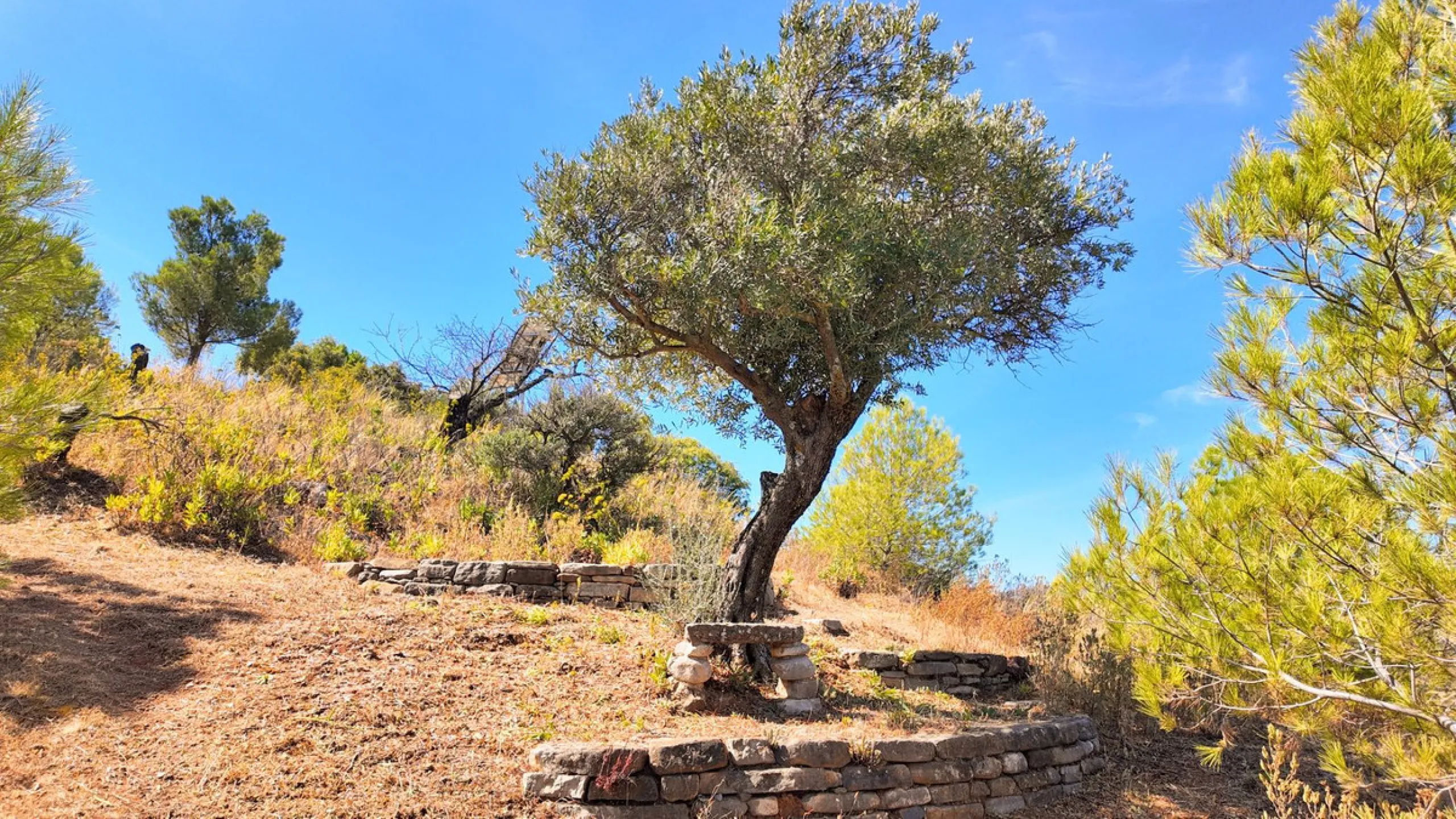 A Hidden Gem Above El Chorro Lake - Ardales
